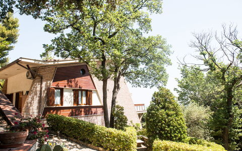Villa Sole - Exclusive Villa al Conero con Piscina: Leaf, Shrub, Residential Area, Home, Cottage, Garden, Spring, Estate, Landscaping, Yard
