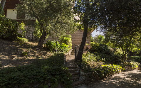 Villa Sole - Exclusive Villa al Conero con Piscina: Leaf, Branch, Nature, Vegetation, Shrub, Garden, Plant Community, Landscape, Twig