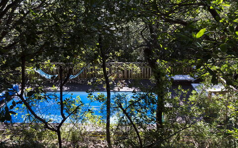 Villa Sole - Exclusive Villa al Conero con Piscina: Blue, Nature, Leaf, Branch, Swimming Pool, Shade, Sunlight, Twig, Garden, Backyard