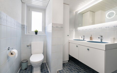 Apartment Troja: Bathroom, Plumbing Fixture, Flooring, Bathroom Sink, Toilet Seat, Sink, Wall, Toilet, Floor, Interior Design