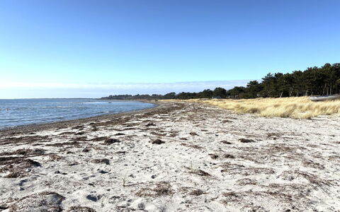 Euphemia - 200M from the Sea: Water, Beach, Coast, Shore, Horizon, Coastal And Oceanic Landforms, Sea, Sand, Ocean