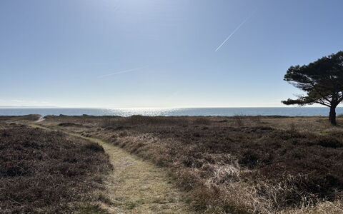 Euphemia - 200M from the Sea: Sky, Blue, Grass, Horizon, Vegetation, Ecoregion, Natural Landscape, Grassland, Plain, Plant Community