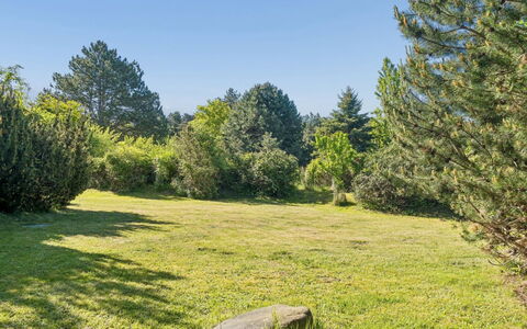 Euphemia - 200M from the Sea: Blue, Tree, Grass, Green, Natural Environment, Leaf, Branch, Vegetation, Grassland, Shrub