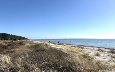 Euphemia - 200M from the Sea: Sky, Coast, Horizon, Beach, Coastal And Oceanic Landforms, Sea, Shore, Ecoregion, Ocean, Sand