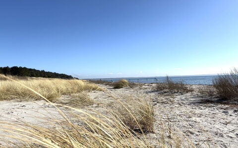 Euphemia - 200M from the Sea: Natural Environment, Coast, Beach, Ecoregion, Coastal And Oceanic Landforms, Sea, Shore, Sand, Ocean, Shrubland