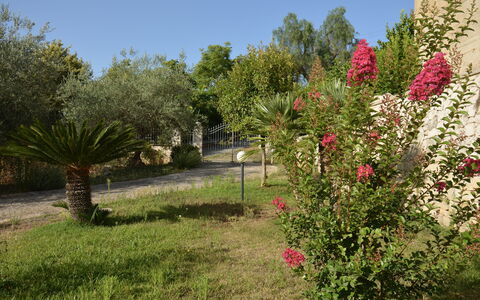 Villa del Monte: Flower, Shrub, Garden, Pink, Spring, Flowering Plant, Landscaping, Botanical Garden, Yard