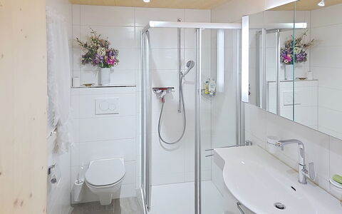 Rüttimätteli: Interior Design, Bathroom, Plumbing Fixture, Flooring, Floor, Bathroom Sink, Tap, Plumbing, Sink, Lighting