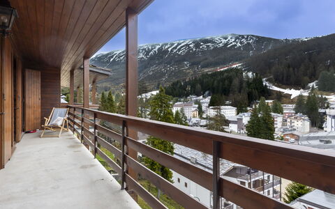 La Marmotta: Wood, Balcony, Handrail, Wood Stain, Hardwood, Porch, Plank, Baluster, Deck