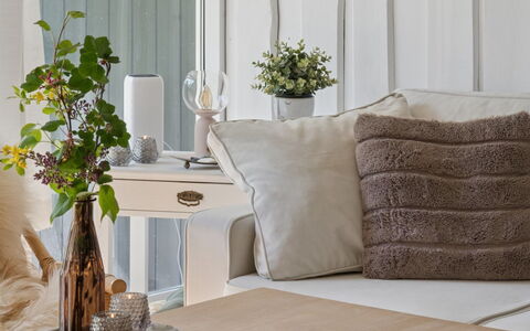 Petkana - 4Km from the Sea: Furniture, Interior Design, Flowerpot, Table, Textile, Living Room, Home, Cushion, Lighting, Couch