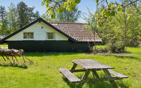 Petkana - 4Km from the Sea: Grass, Tree, Cottage, House, Land Lot, Home, Rural Area, Roof, Groundcover