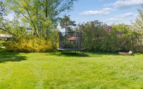 Petkana - 4Km from the Sea: Grass, Green, Grassland, Shrub, Garden, Land Lot, Landscape, Plain, Lawn, Rural Area