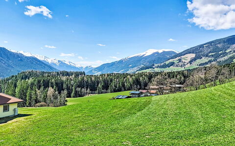 Panoramablick Tauern: Grass, Green, Mountainous Landforms, Nature, Grassland, Mountain, Natural Landscape, Hill, Landscape