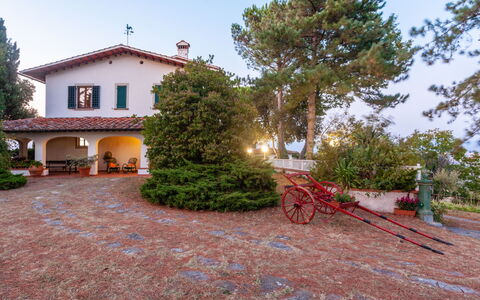 Villa Colle Mediceo: 
