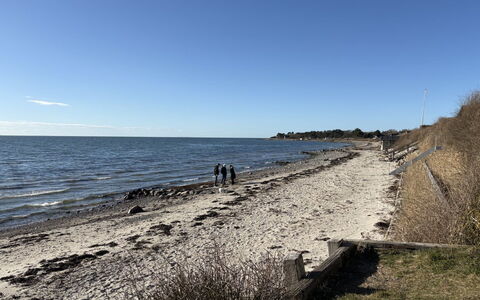 Marillia - 75M from the Sea: Coast, Beach, Coastal And Oceanic Landforms, Shore, Sea, Horizon, Ocean, Bank, Sand, Wind Wave