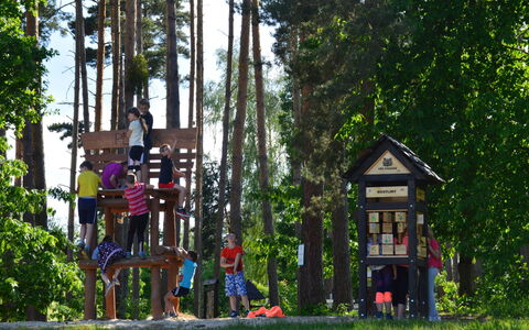 Hradec Kralove 4: Tree, Wood, Recreation, Public Space, Outdoor Recreation, Leisure, Spring, Fun, Park, Child