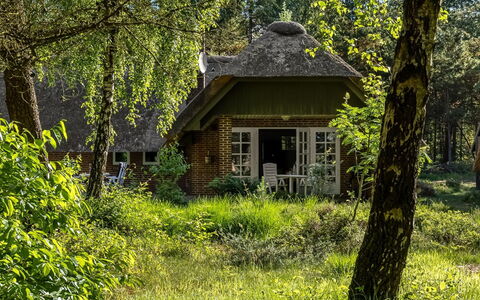 Ullamaj - 700M from the Sea: Vegetation, Thatching, Roof, House, Cottage, Shrub, Rural Area, Home, Plant Community, Garden