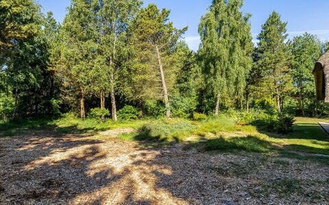 Ullamaj - 700M from the Sea: Leaf, Tree, Grass, Branch, Vegetation, Shrub, Plant Community, Garden, Groundcover, Trunk