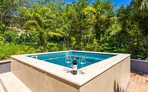 Apartment Nia Opatjia: Swimming Pool, Composite Material, Leisure, Water Feature, Natural Material, Tile, Resort, Landscaping, Design