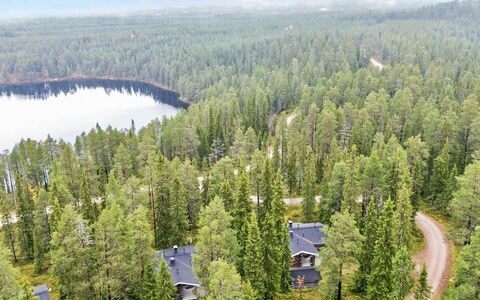 Rukan Kivikelo: Tree, Natural Environment, Nature, Forest, Landscape, Plant Community, Land Lot, Woodland