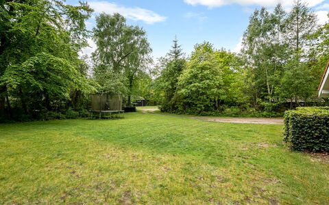 Antoinetta - 350M from the Sea: Tree, Shrub, Land Lot, Garden, Lawn, Landscaping, Yard, Estate, Park, Shade