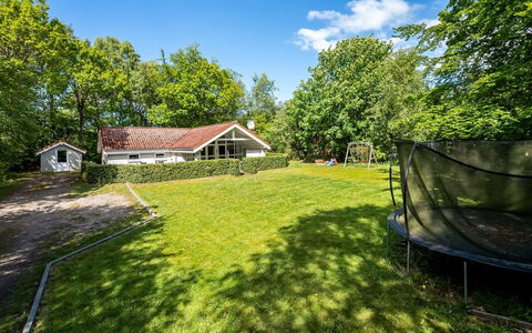 Antoinetta - 350M from the Sea: Tree, Grass, House, Home, Shrub, Cottage, Land Lot, Rural Area, Roof