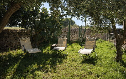 Ranch Salomonello: Furniture, Outdoor Furniture, Chair, Folding Chair, Shade, Garden, Sunlounger, Backyard, Yard, Lawn
