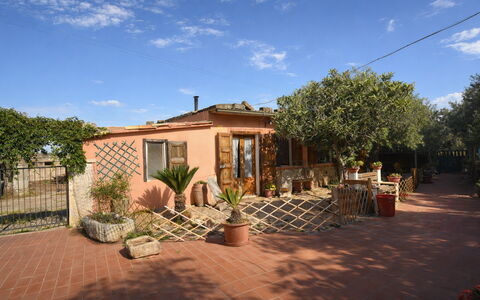 Ranch Salomonello: Flowerpot, Shrub, Door, Houseplant, Hacienda, Shade, Yard, Landscaping, Backyard