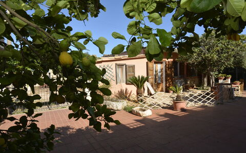 Ranch Salomonello: Shrub, Flowerpot, Garden, Shade, Houseplant, Yard, Backyard, Landscaping, Chair