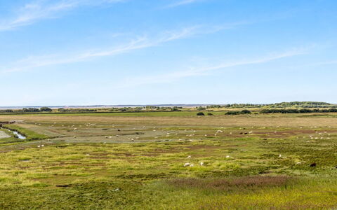 Nadua - 25M from the Sea: Sky, Green, Natural Environment, Grassland, Ecoregion, Natural Landscape, Plain, Horizon, Steppe, Prairie