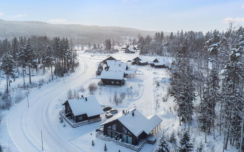 Parashimos B: Snow, Winter, Tree, House, Home, Cottage, Residential Area, Roof, Freezing, Geological Phenomenon