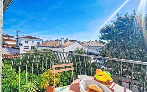 Les Roses: Balcony, Houseplant, Fence