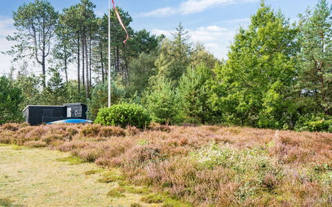 Sorja - 170M from the Sea: Tree, Grass, Vegetation, Shrub, Grassland, Plant Community, Land Lot, Shrubland