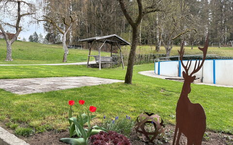 Viechtach 646: Tree, Grass, Public Space, Garden, Lawn, Park, Trunk, Yard, Bench, Shade