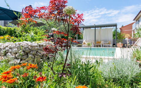 Dolores: Apartment, Balcony, Condominium, Hotel, Resort, Resort Town, Hacienda, Villa, Seaside Resort