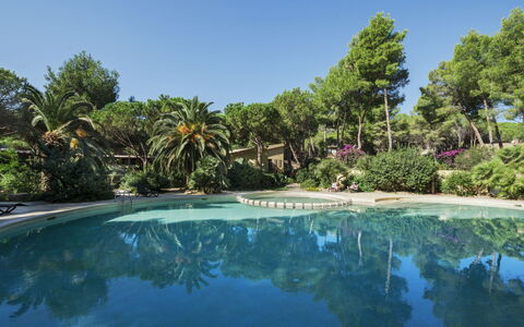 Pula 661: Water, Tree, Swimming Pool, Resort, Garden, Eco Hotel, Shade, Landscaping, Tropics