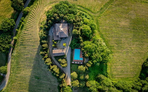 Maison Badia a Passignano: Plantation, Eco Hotel, Garden, Estate, Agriculture, Landscaping, Bird'S-Eye View, Backyard, Villa