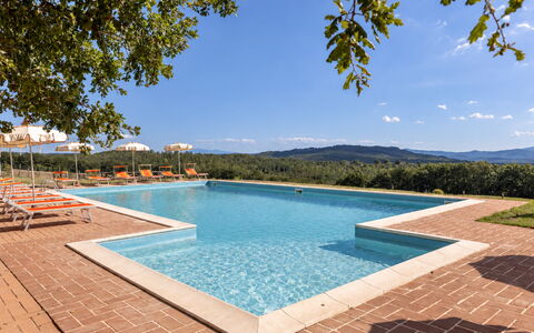 Casa Stella Serena, Casole D'Elsa, Pool: Swimming Pool, Eco Hotel, Resort, Estate, Hacienda, Farmhouse, Villa, Landscaping, Resort Town, Hotel
