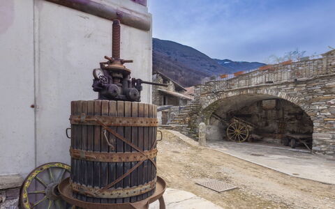 Valtellina 646: Water, Tree, Swimming Pool, Resort, Garden, Eco Hotel, Shade, Landscaping, Tropics