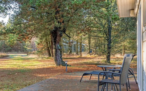 Neval - 150M from the Sea: Tree, Leaf, Branch, Furniture, Outdoor Furniture, Shade, Sunlight, Trunk, Twig, Outdoor Table