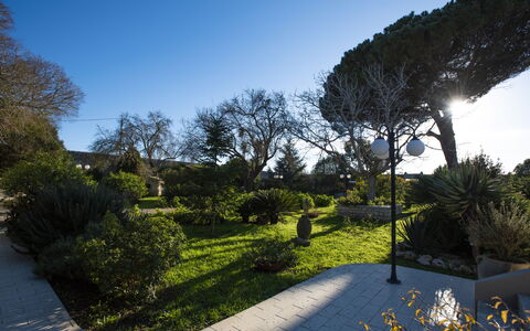 Tenuta Renna: Leaf, Green, Nature, Tree, Vegetation, Branch, Shrub, Landscape, Garden