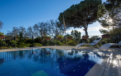 Tenuta Renna: Blue, Water, Swimming Pool, Tree, Resort, Reflection, Leisure, Eco Hotel, Shade, Landscaping