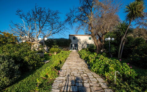 Tenuta Renna: Shrub, Garden, Spring, Landscaping, Yard, Walkway, Botanical Garden