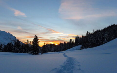 La Suisse Normande: Sky, Blue, Winter, Branch, Nature, Snow, Sunrise, Sun, Terrain, Wilderness