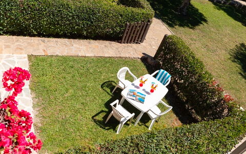 Perla San Teo: Shrub, Garden, Lawn, Groundcover, Hedge, Spring, Landscaping, Backyard, Yard, Shade