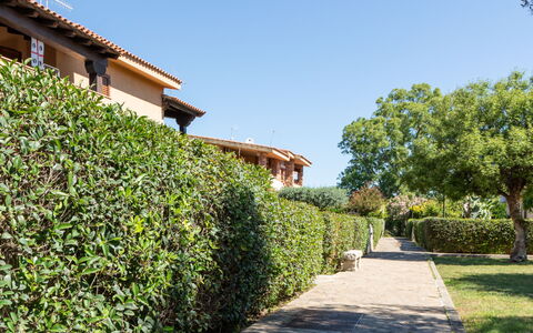 Perla San Teo: Shrub, Hedge, Garden, Woody Plant, Shade, Landscaping, Plantation, Walkway, Botanical Garden