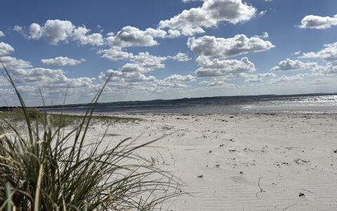 Gizelle - 200M from the Sea: Sky, Blue, Cloud, Daytime, Natural Environment, Horizon, Beach, Cumulus, Ecoregion, Sand