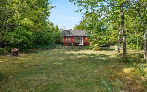 Heda - 1.6Km to the Fjord: Grass, Tree, Nature, Branch, House, Rural Area, Shrub, Cottage, Landscape