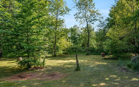 Heda - 1.6Km to the Fjord: Leaf, Tree, Green, Natural Environment, Grass, Vegetation, Shrub, Grassland, Plant Community, Land Lot