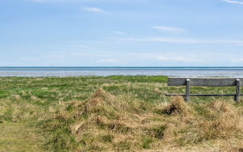 Elnara - from the Sea: Blue, Sky, Grass, Green, Natural Environment, Horizon, Grassland, Ecoregion, Natural Landscape, Plain