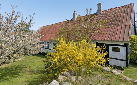 Espen - 300M from the Sea: Grass, Grassland, Land Lot, Cottage, Rural Area, Meadow, Garden Buildings, Garden, Shed
